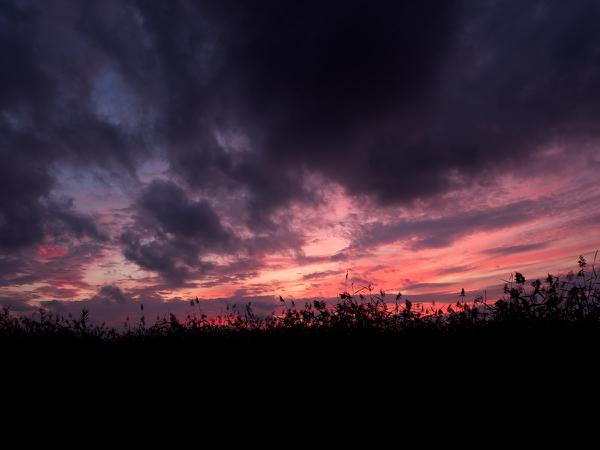 Sunset in Aléria